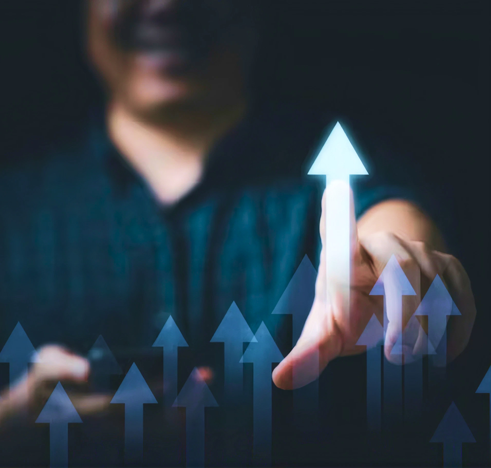 Growth, Support & Optimisation